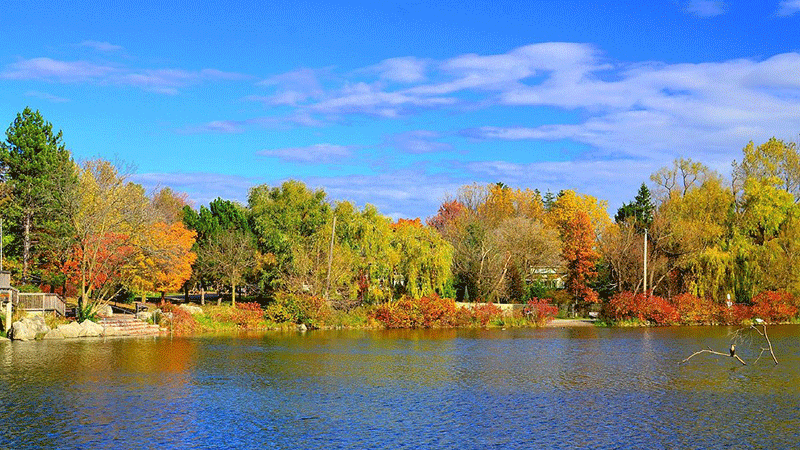 Milne Dam Conservation Park: Perfect for Nature Lovers