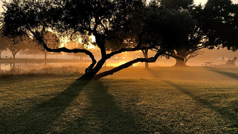 Public Parks and Scenic Walkways