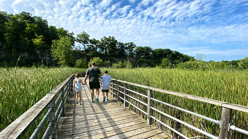 Quiet Parks and Picnic Spots